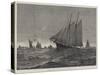 English Cruisers with the North Sea Trawl-Fishing Fleet-null-Stretched Canvas