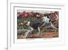 English Foxhound and American Foxhound-Louis Agassiz Fuertes-Framed Premium Giclee Print