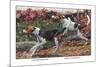 English Foxhound and American Foxhound-Louis Agassiz Fuertes-Mounted Premium Giclee Print