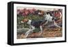 English Foxhound and American Foxhound-Louis Agassiz Fuertes-Framed Stretched Canvas