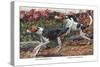 English Foxhound and American Foxhound-Louis Agassiz Fuertes-Stretched Canvas