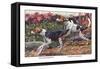 English Foxhound and American Foxhound-Louis Agassiz Fuertes-Framed Stretched Canvas