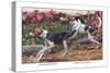 English Foxhound and American Foxhound-Louis Agassiz Fuertes-Stretched Canvas