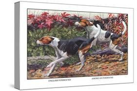 English Foxhound and American Foxhound-Louis Agassiz Fuertes-Stretched Canvas