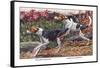 English Foxhound and American Foxhound-Louis Agassiz Fuertes-Framed Stretched Canvas