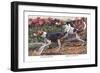 English Foxhound and American Foxhound-Louis Agassiz Fuertes-Framed Art Print