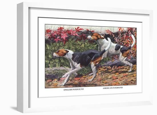 English Foxhound and American Foxhound-Louis Agassiz Fuertes-Framed Art Print