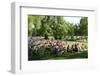 English Garden in Munich, Upper Bavaria, Bavaria, Germany, Europe-Hans-Peter Merten-Framed Photographic Print