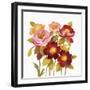 English Garden IV on White-Silvia Vassileva-Framed Art Print