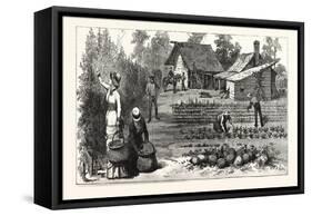 English Garden. Scenes Rugby, the English Colony Tennessee, 1880, USA, America-null-Framed Stretched Canvas