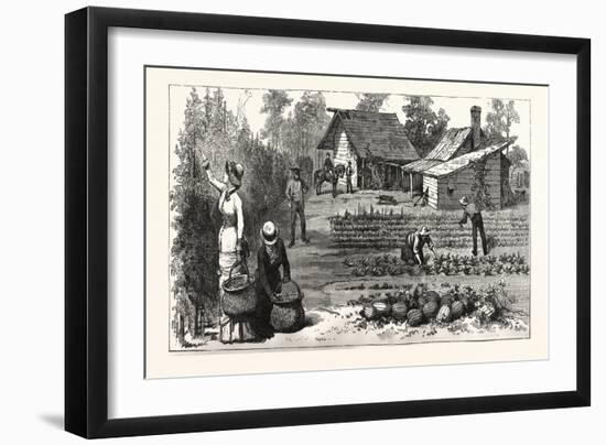 English Garden. Scenes Rugby, the English Colony Tennessee, 1880, USA, America-null-Framed Giclee Print