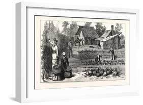 English Garden. Scenes Rugby, the English Colony Tennessee, 1880, USA, America-null-Framed Giclee Print