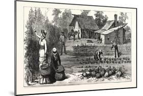 English Garden. Scenes Rugby, the English Colony Tennessee, 1880, USA, America-null-Mounted Giclee Print