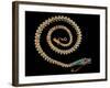 English Gold Snake Necklace, with Pave Set Diamonds, Garnets and Turquoises, 1844-null-Framed Giclee Print