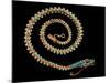 English Gold Snake Necklace, with Pave Set Diamonds, Garnets and Turquoises, 1844-null-Mounted Giclee Print