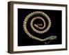 English Gold Snake Necklace, with Pave Set Diamonds, Garnets and Turquoises, 1844-null-Framed Giclee Print