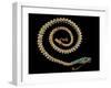 English Gold Snake Necklace, with Pave Set Diamonds, Garnets and Turquoises, 1844-null-Framed Giclee Print