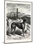 English Greyhounds. after Specht-null-Mounted Giclee Print