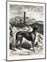 English Greyhounds. after Specht-null-Mounted Giclee Print