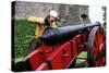 English Gunner Loading Cannon, Tudor Period 16th Century, Historical Re-Enactment-null-Stretched Canvas
