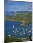 English Harbour, with Moored Yachts, Antigua, Leeward Islands, West Indies, Caribbean-Lightfoot Jeremy-Mounted Photographic Print