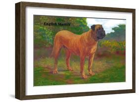 English Mastiff Champion-null-Framed Art Print