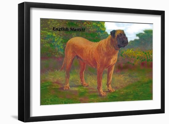 English Mastiff Champion-null-Framed Art Print