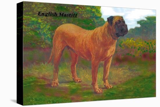 English Mastiff Champion-null-Stretched Canvas