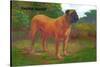 English Mastiff Champion-null-Stretched Canvas