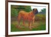 English Mastiff Champion-null-Framed Art Print