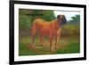 English Mastiff Champion-null-Framed Art Print