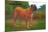 English Mastiff Champion-null-Mounted Art Print