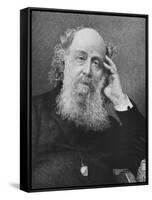 English Mathematician James Joseph Sylvester-null-Framed Stretched Canvas