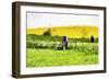 English Meadow - In the Style of Oil Painting-Philippe Hugonnard-Framed Giclee Print