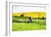 English Meadow - In the Style of Oil Painting-Philippe Hugonnard-Framed Giclee Print