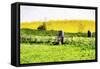 English Meadow - In the Style of Oil Painting-Philippe Hugonnard-Framed Stretched Canvas