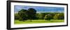 English Meadow-Pete Kelly-Framed Giclee Print