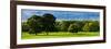 English Meadow-Pete Kelly-Framed Giclee Print