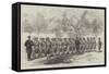 English Officers Drilling Chinese Soldiers at Amoy-null-Framed Stretched Canvas