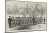 English Officers Drilling Chinese Soldiers at Amoy-null-Mounted Giclee Print