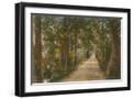 Black Frame