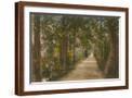 Brown Frame
