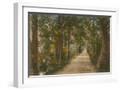 White Frame