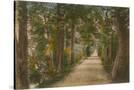 Stretched Canvas