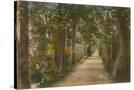 Stretched Canvas