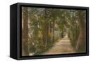 Canvas Black