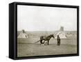 Framed Canvas
