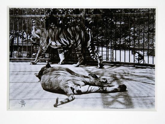 Premium Giclee Print, , large