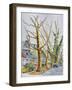 English Plane Trees,NYC, 2015-Anthony Butera-Framed Premium Giclee Print