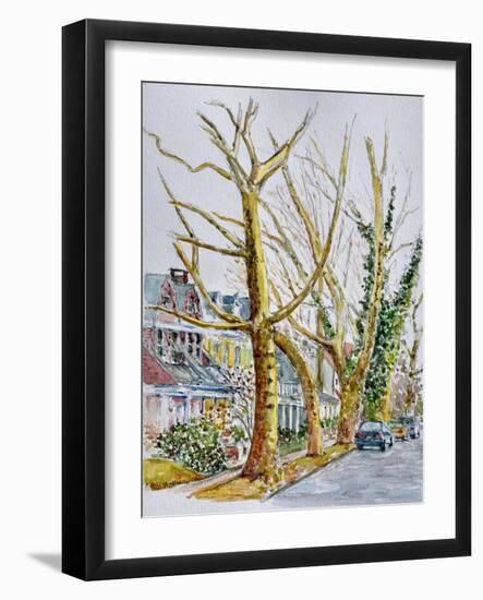 English Plane Trees,NYC, 2015-Anthony Butera-Framed Premium Giclee Print